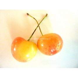 Trešnė ( lot.Prunus avium ) Generoliška Trešnė ( lot.Prunus avium ) Generoliška