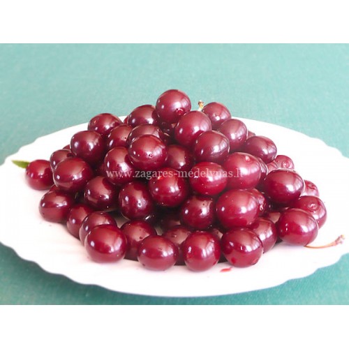 Vyšnia ( lot.Prunus cerasus) Turgenevka
