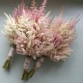  Astilbė (lot.Astilbe hybrida) Erika