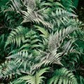 Blužniapapartis japoninis (lot.Athyrium niponicum) Metallicum