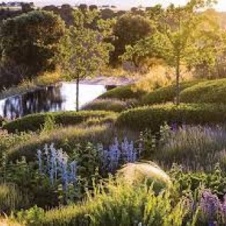 Kokius augalus sodinti šlaite? 13 patikimiausių pasirinkimų
