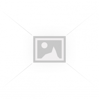 Bijūnas ( lot. Peonia lactiflora) Buckeye Belle , 2024 ruduo